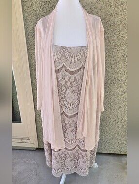 R&M Richards Blush Pink Dress with Sheer Overlay